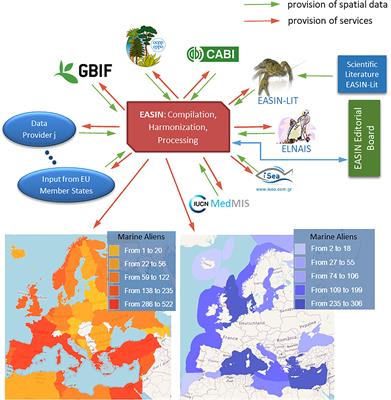 Marine invasive alien species in Europe: 9 years after the IAS Regulation